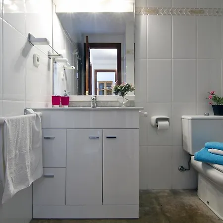 Apartment Ribes *